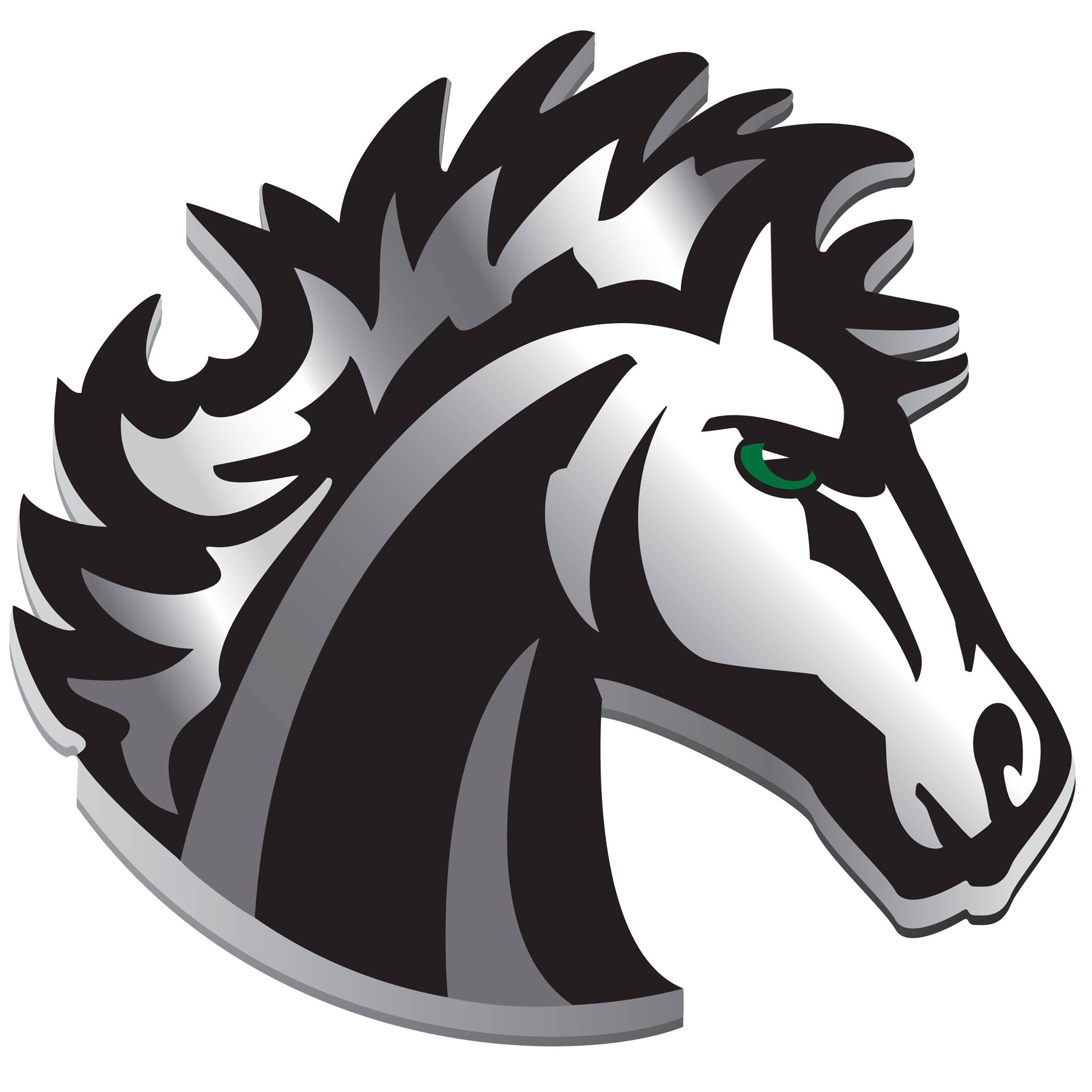 Mounds View High School
